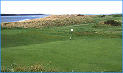 The New Course St Andrews The New Course St Andrews